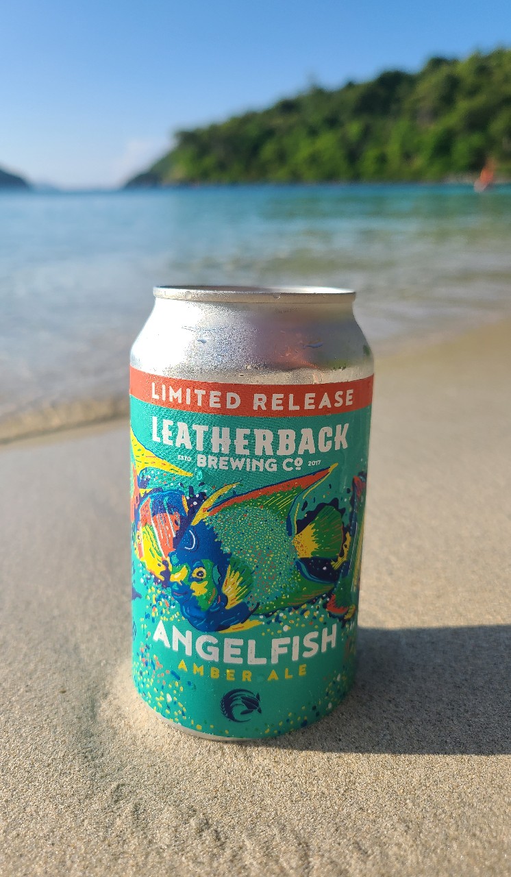 Angelfish, U.S. Virgin Islands