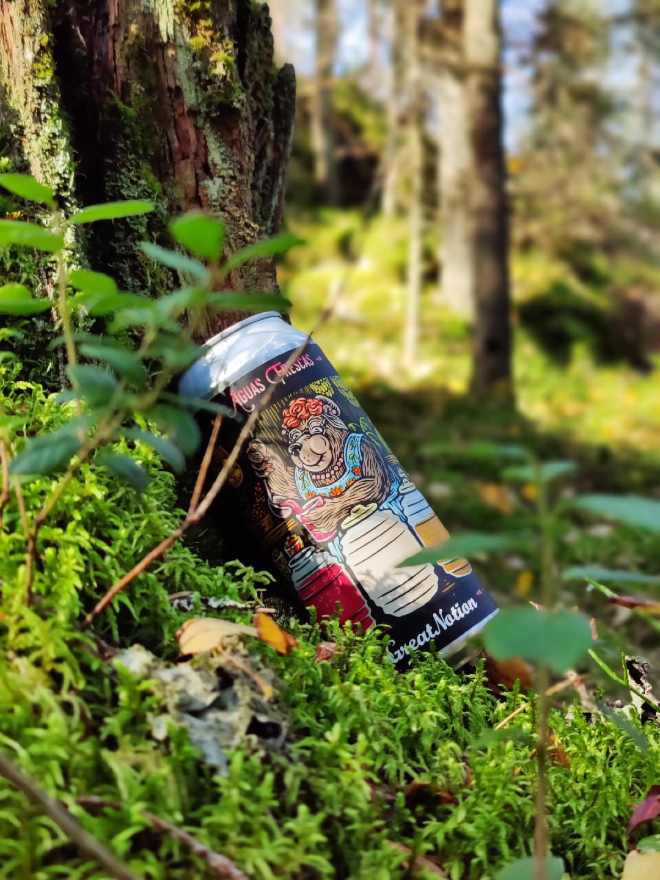 Aquas Frescas (Strawberry, hibiscus, watermelon), United States