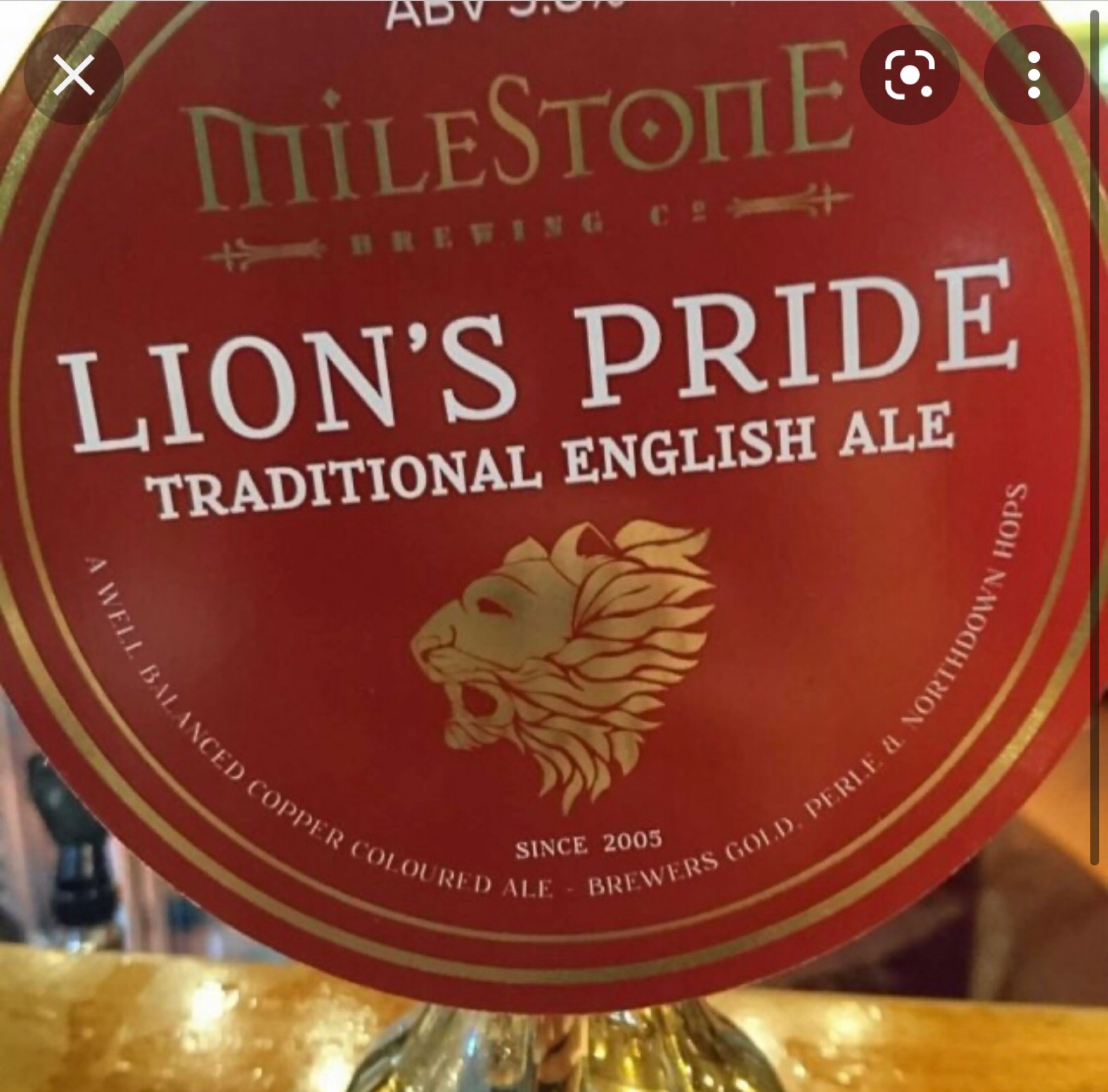 Lion's Pride, England