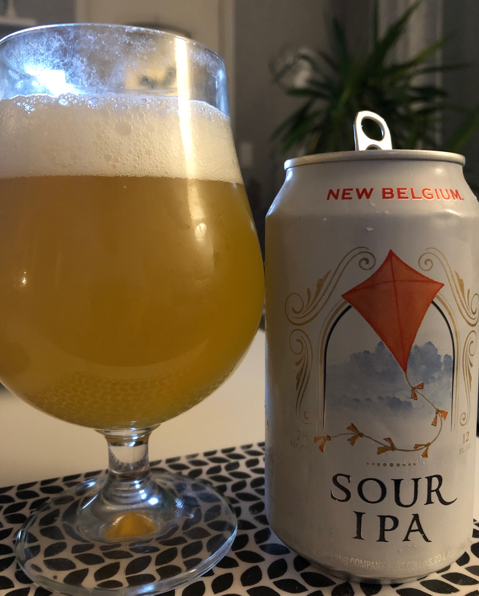 Sour IPA, United States