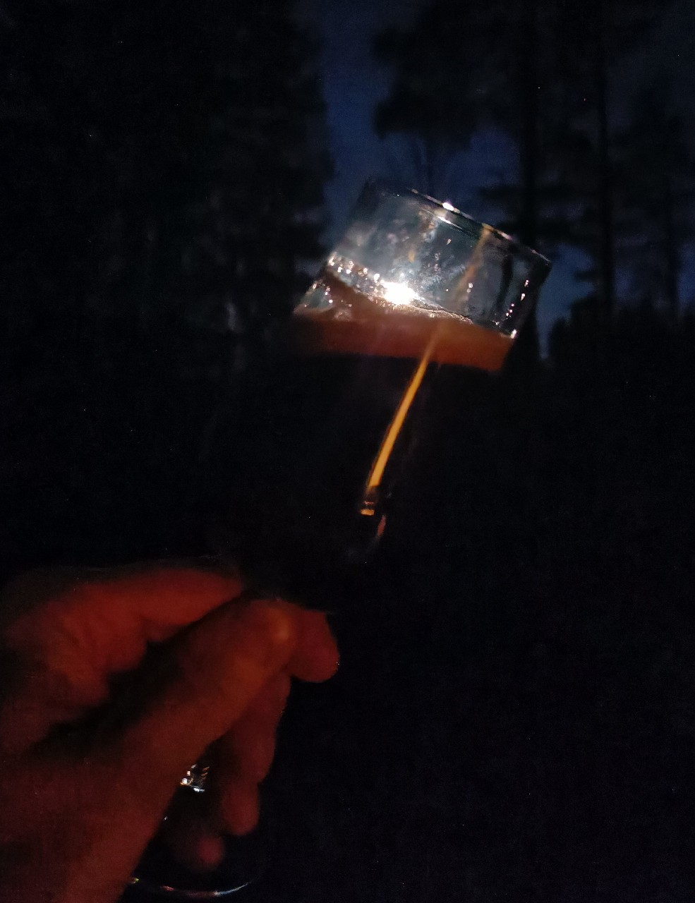 Charlie Bit My Raspberry Again and Fooled David to Taste Blackcurrant, Finland