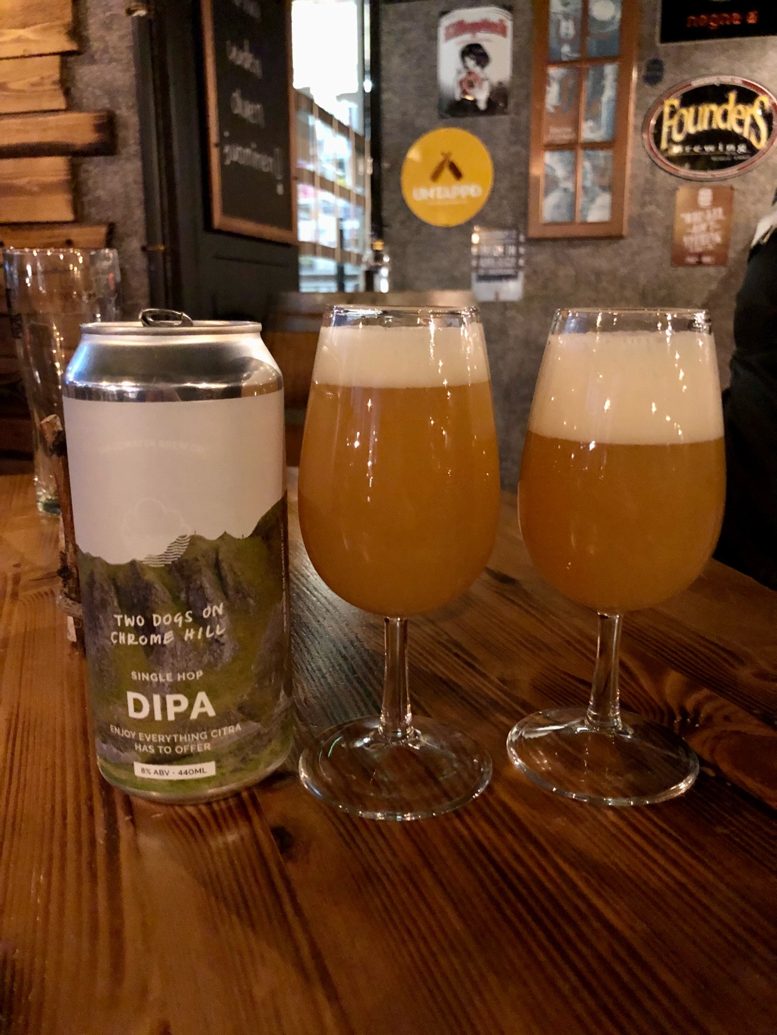 Two Dogs On Chrome Hill, England