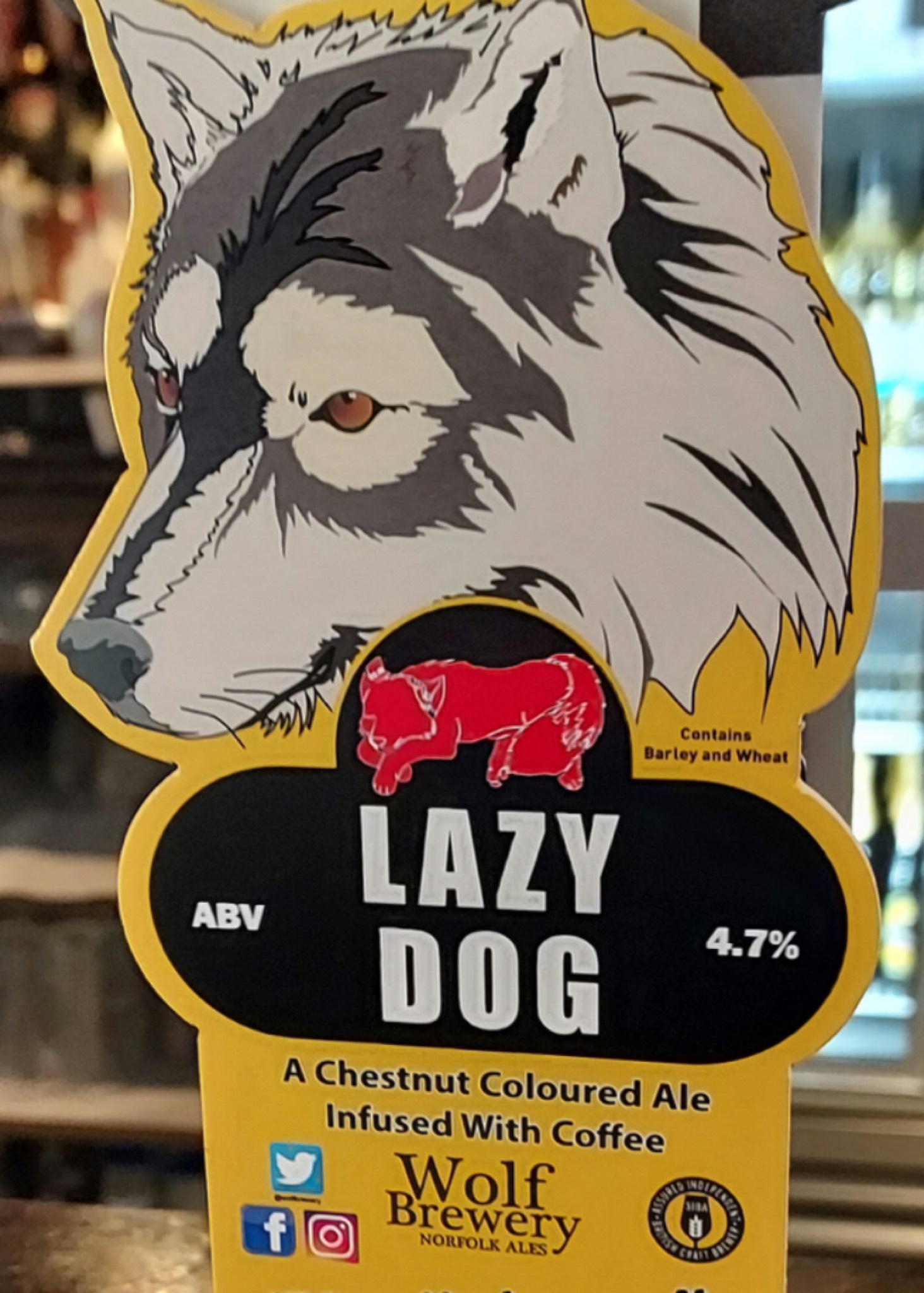 Lazy Dog, England