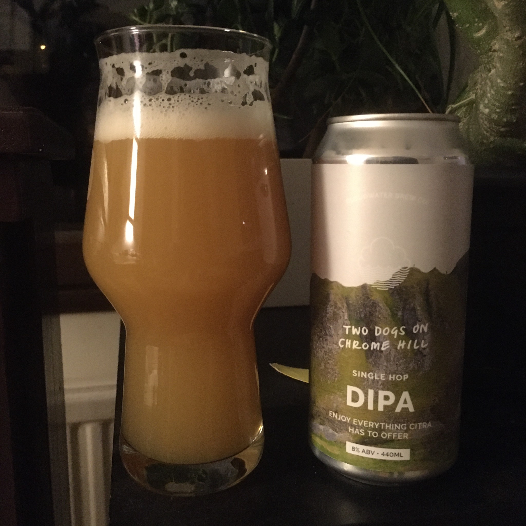 Two Dogs On Chrome Hill, England