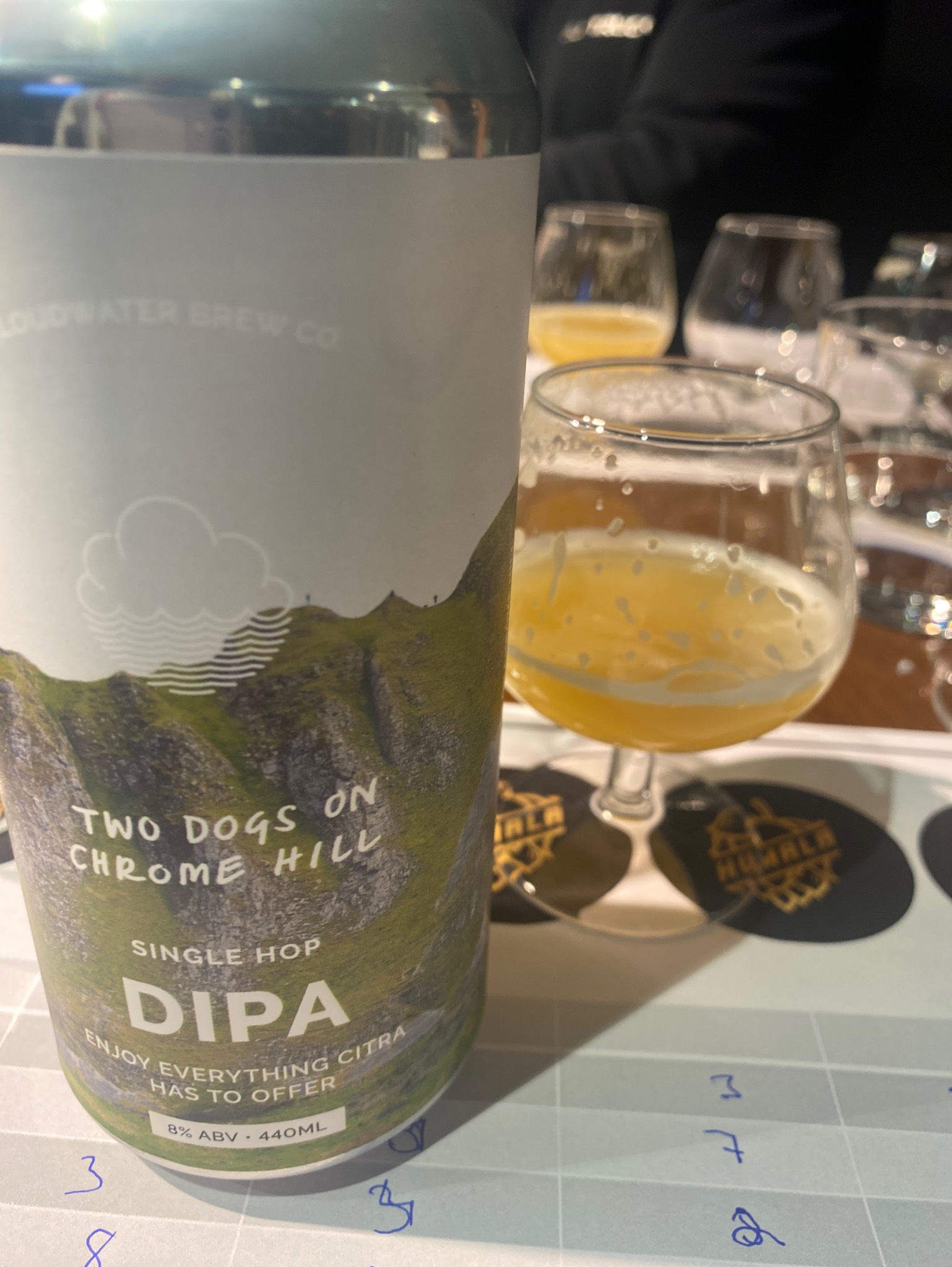 Two Dogs On Chrome Hill, England