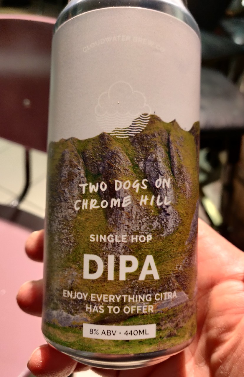 Two Dogs On Chrome Hill, England