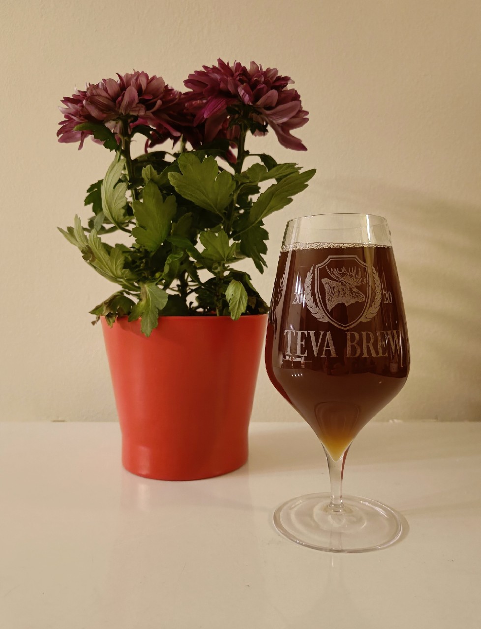 Coquettish Genome of Sahti: Munich Dark + Caramel, Finland