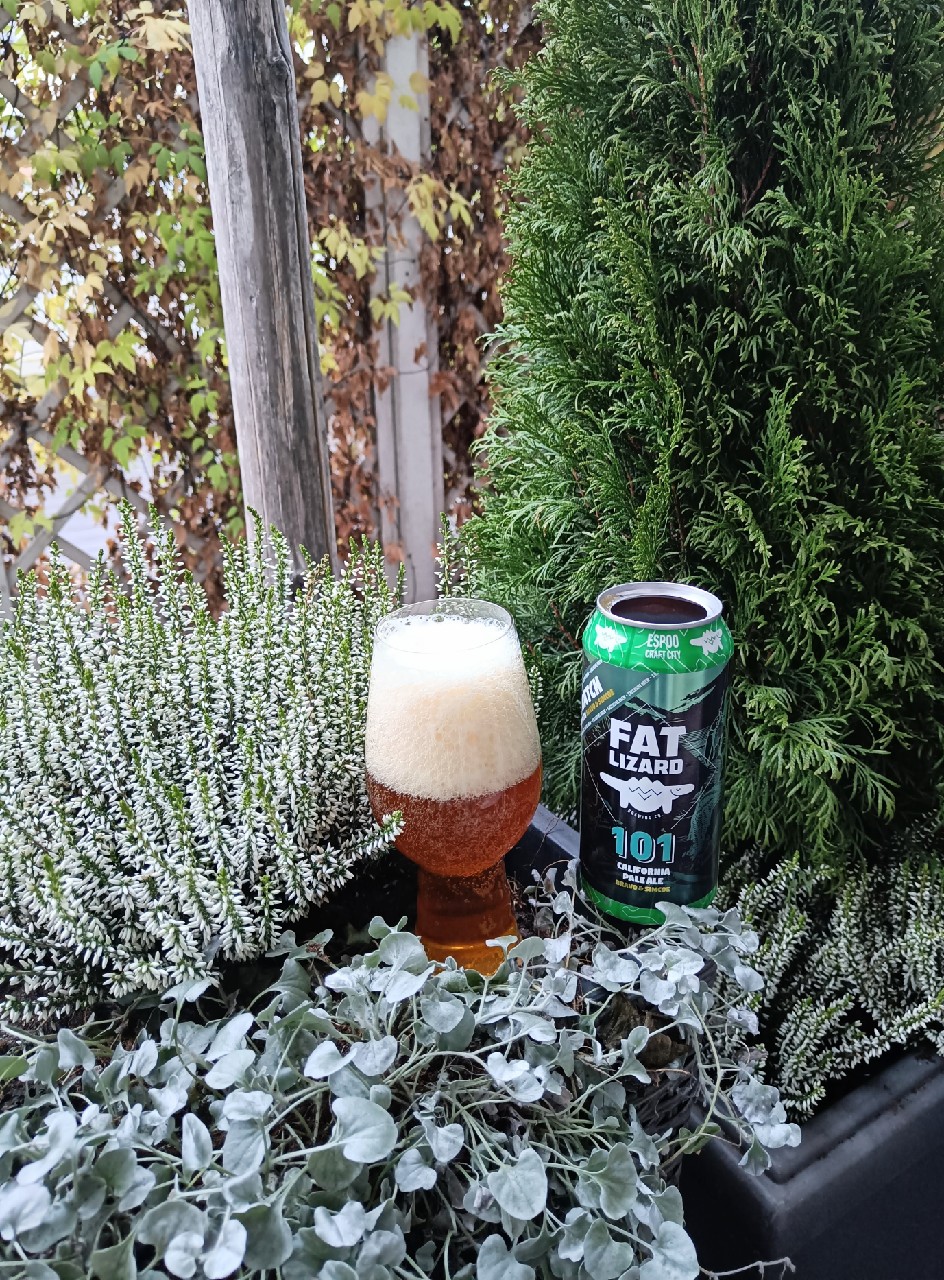 101 California Pale Ale Bravo & Simcoe, Finland