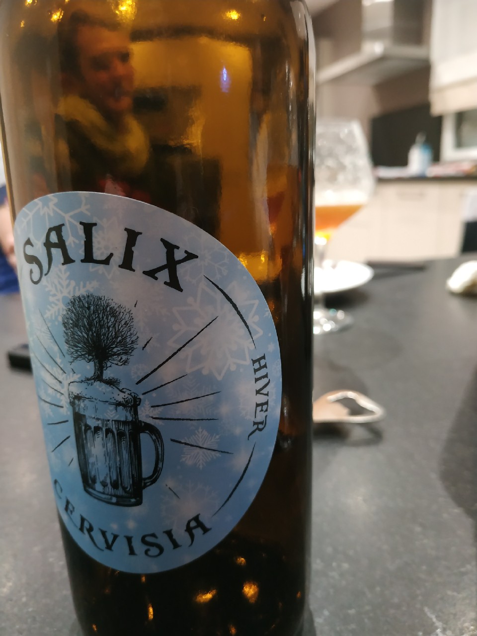 Salix Cervisia Hiver, France