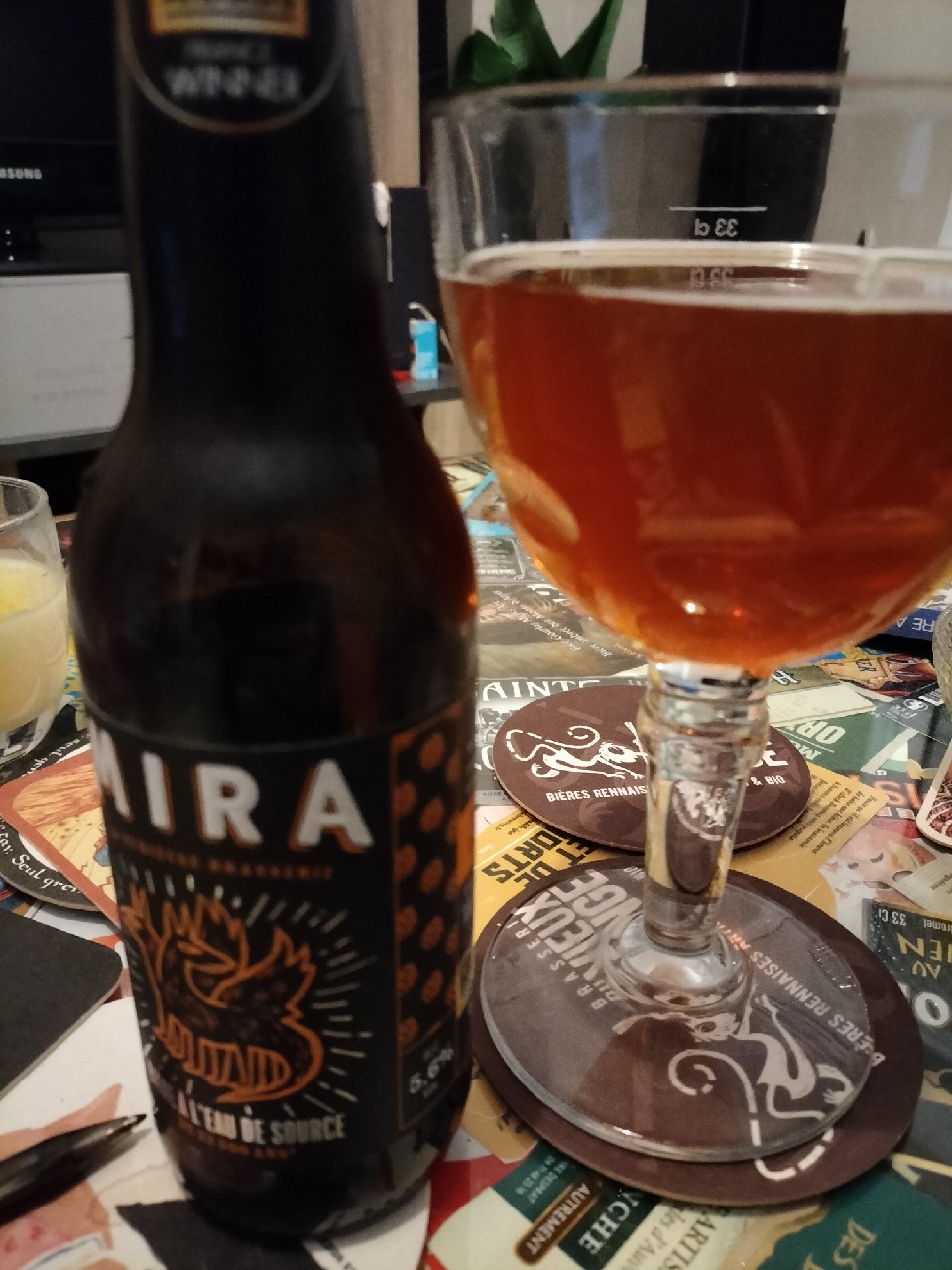 Bière Du Bassin D'Arcachon Ambrée, France