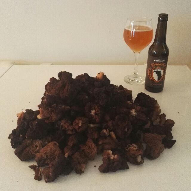 Kangasala Tyrnisaison, Finland