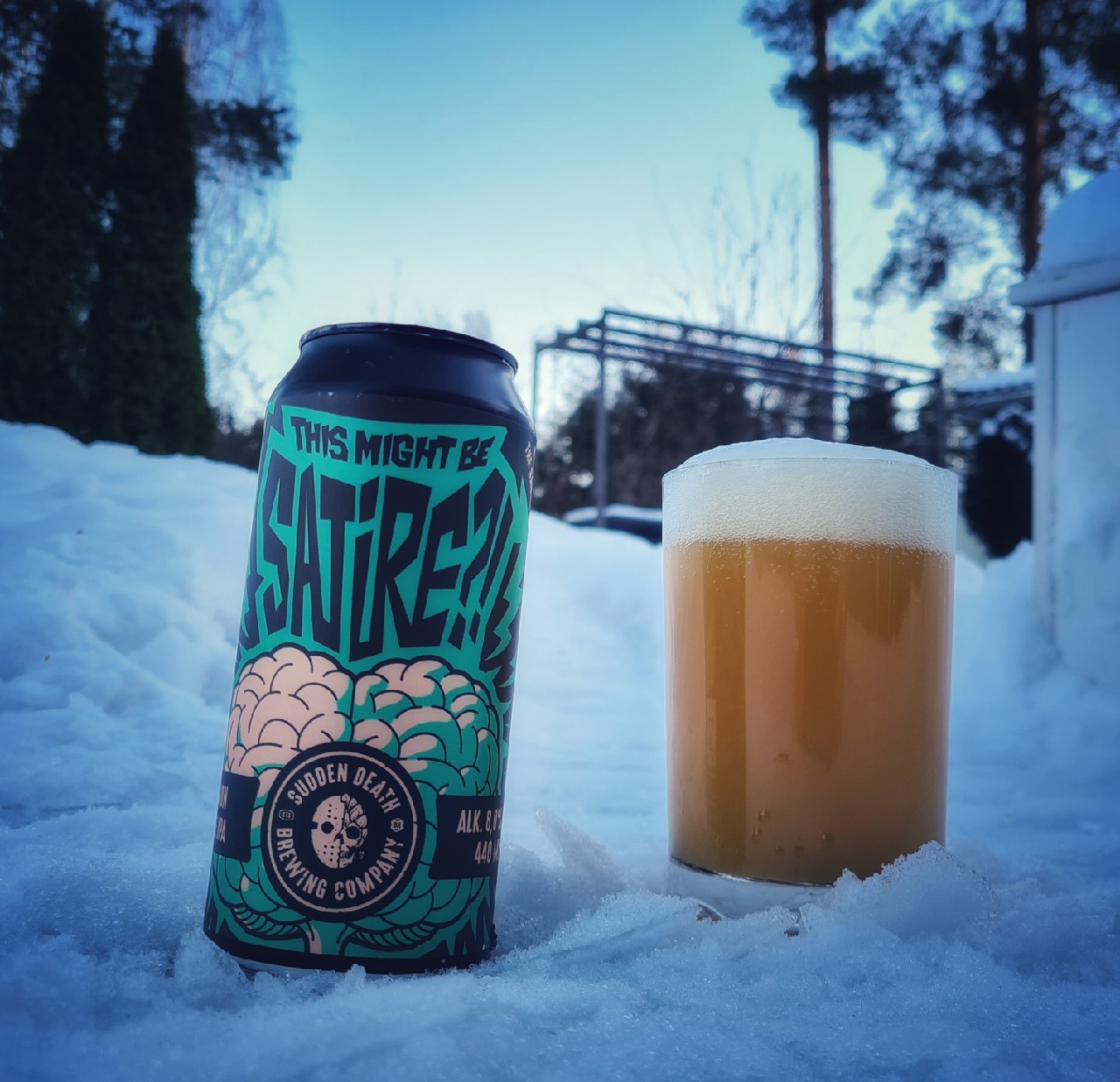 This Might Be Satire?!, Germany