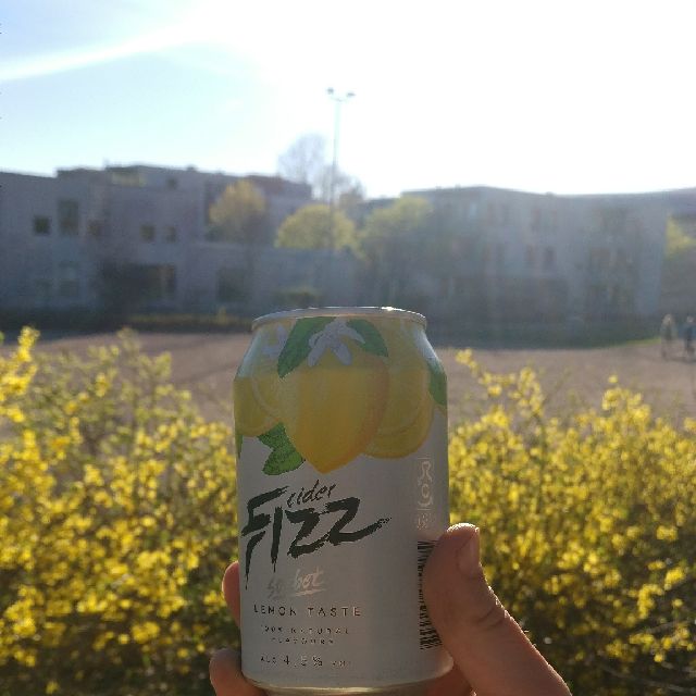Fizz Sorbet Lemon Taste, Estonia