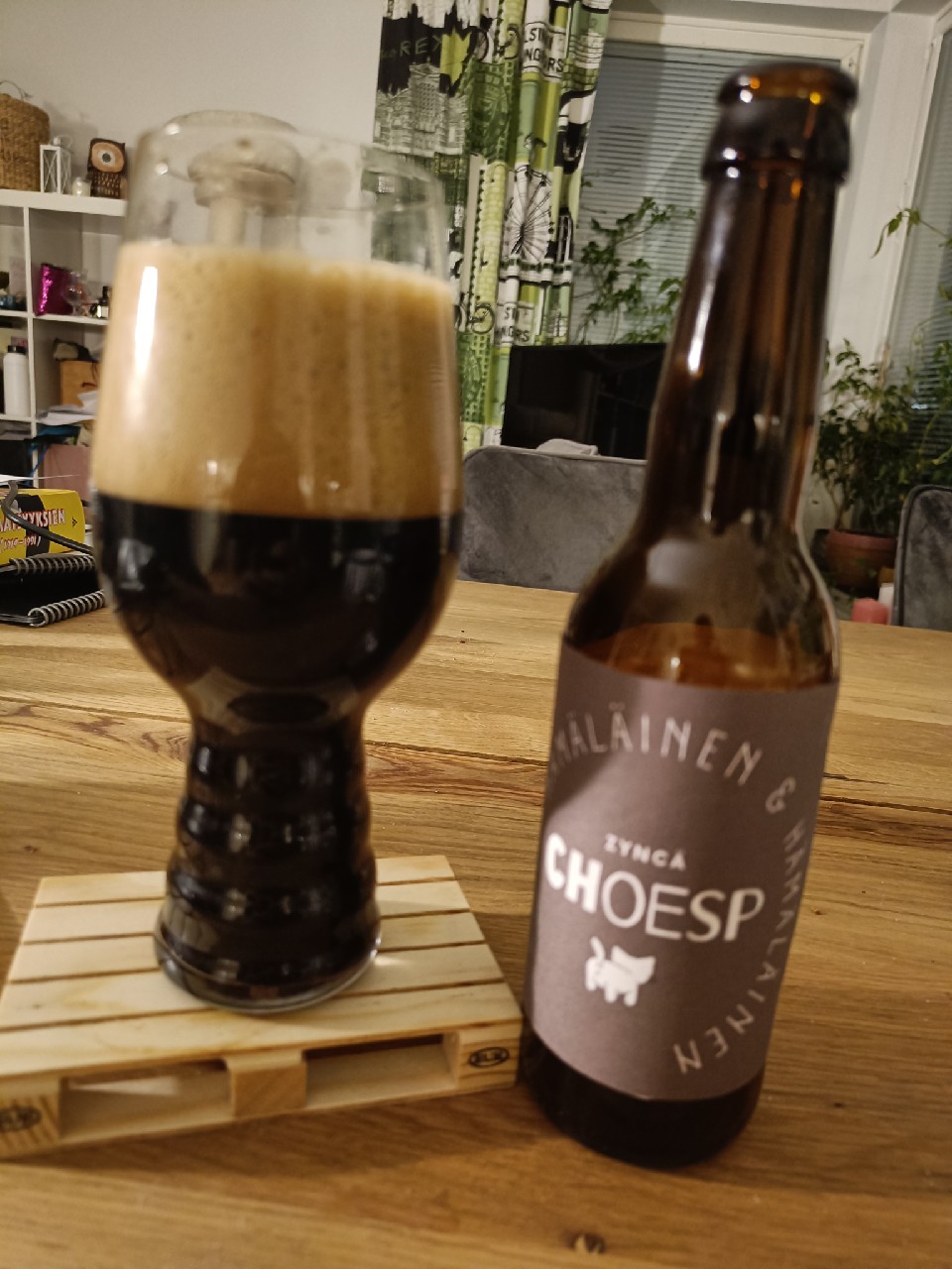 Zyncä Choesp, Finland