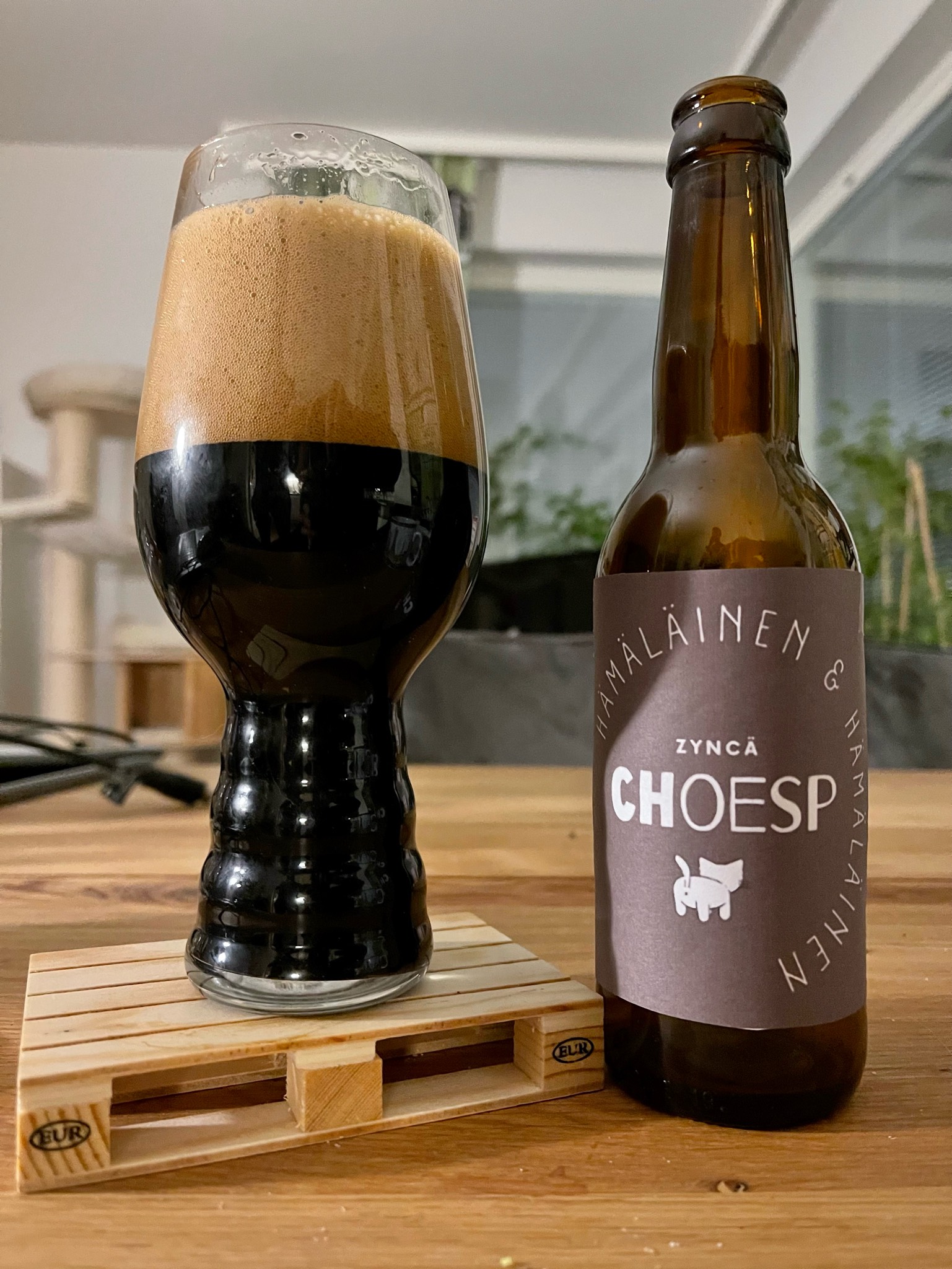 Zyncä Choesp, Finland