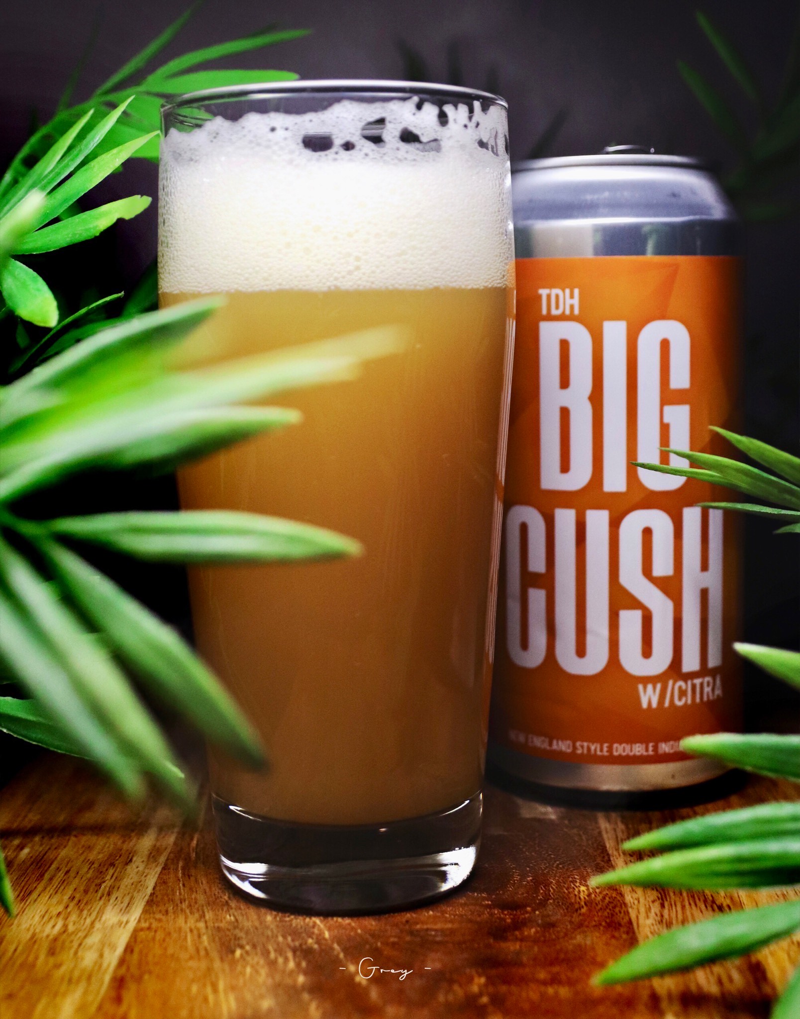 Big Cush TDH Citra, United States