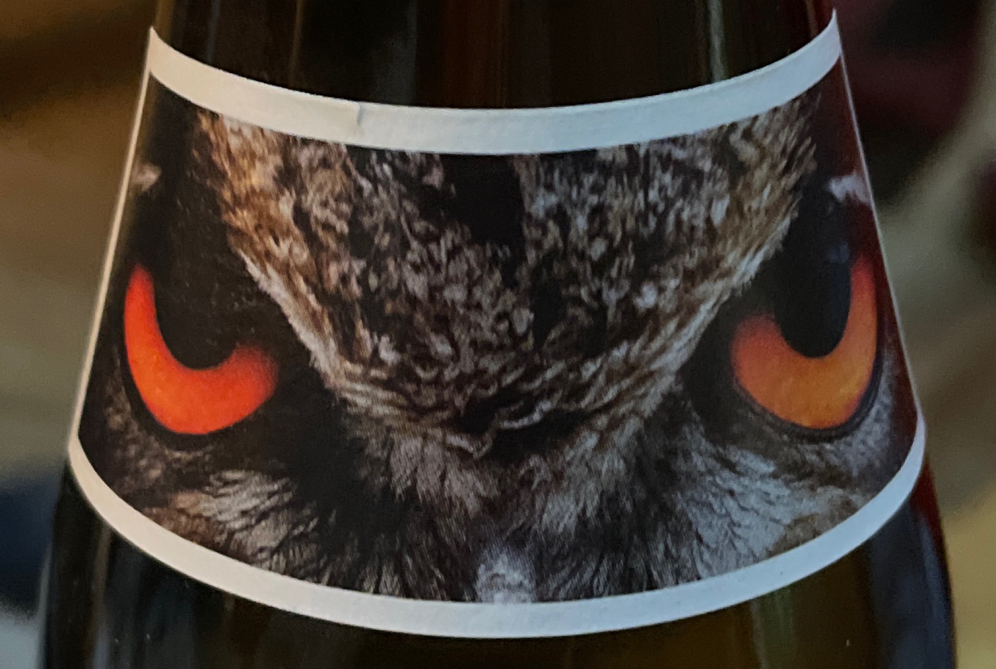 Oehoe Donker, Netherlands