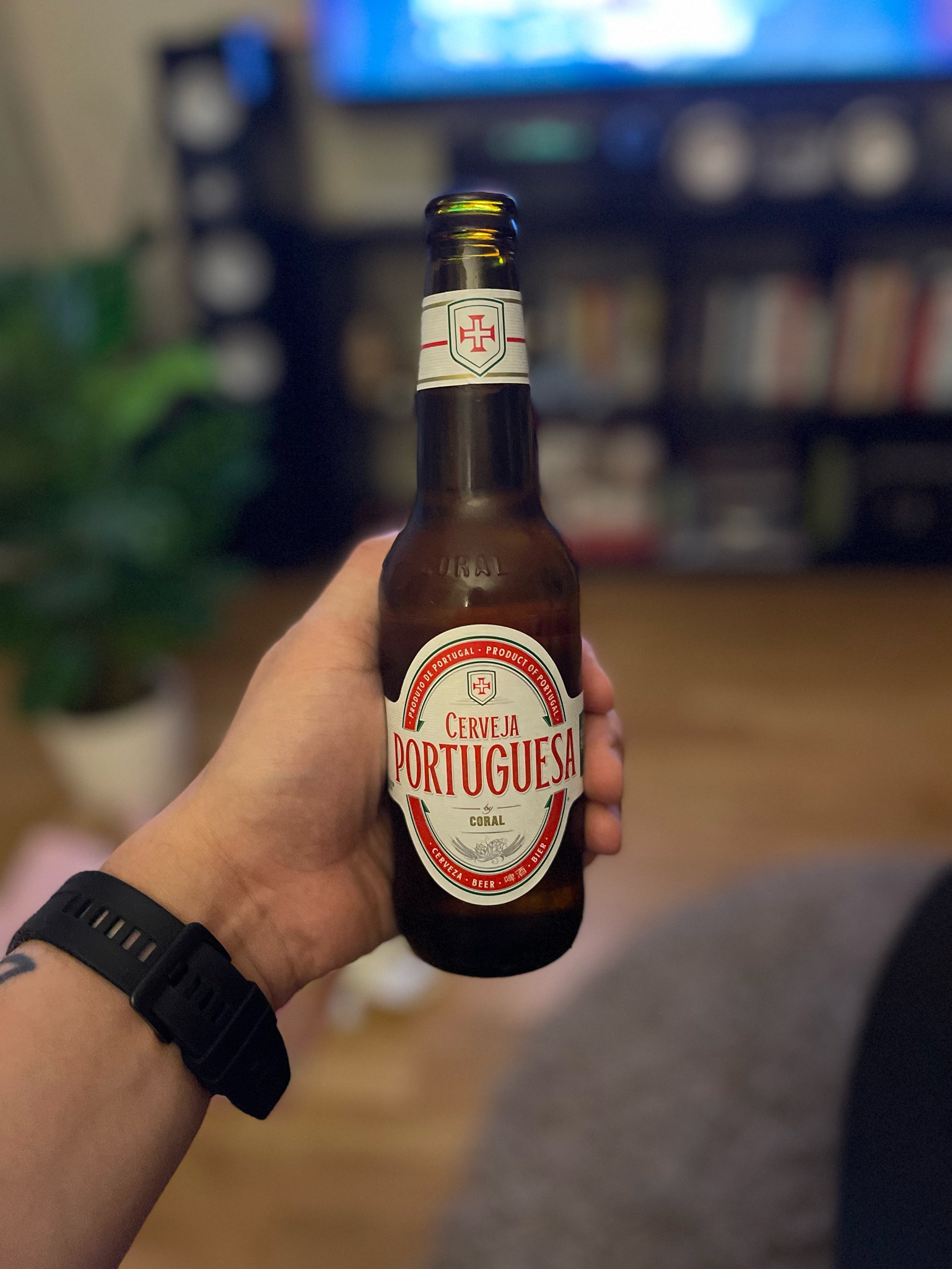 Cerveja Portuguesa, Portugal