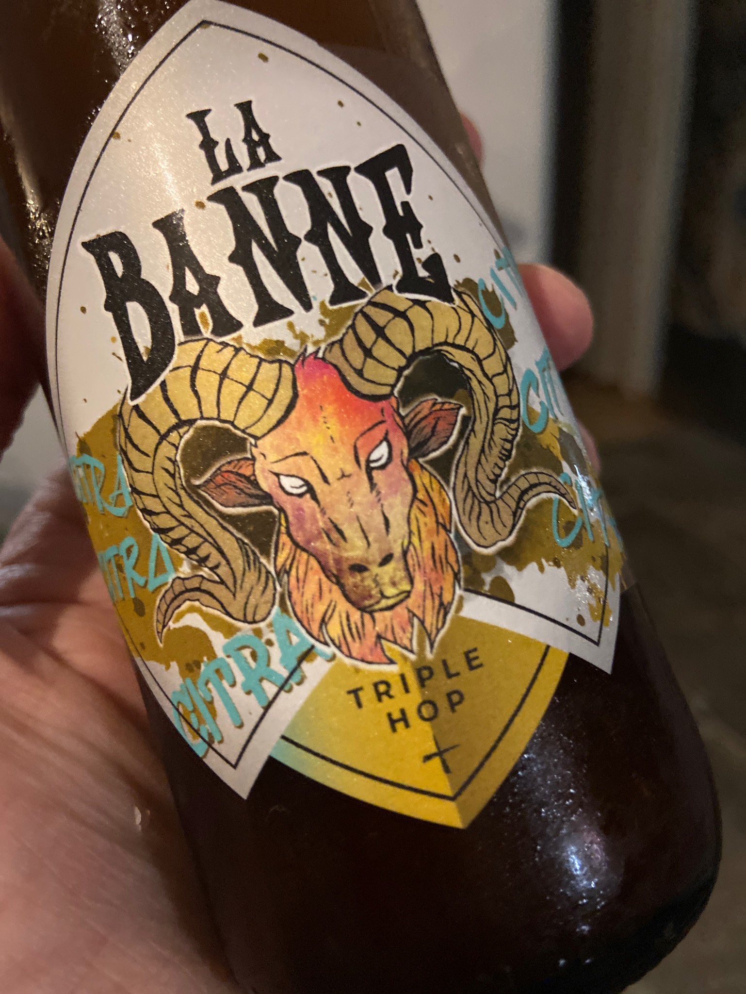 La Banne Triple Hop, France