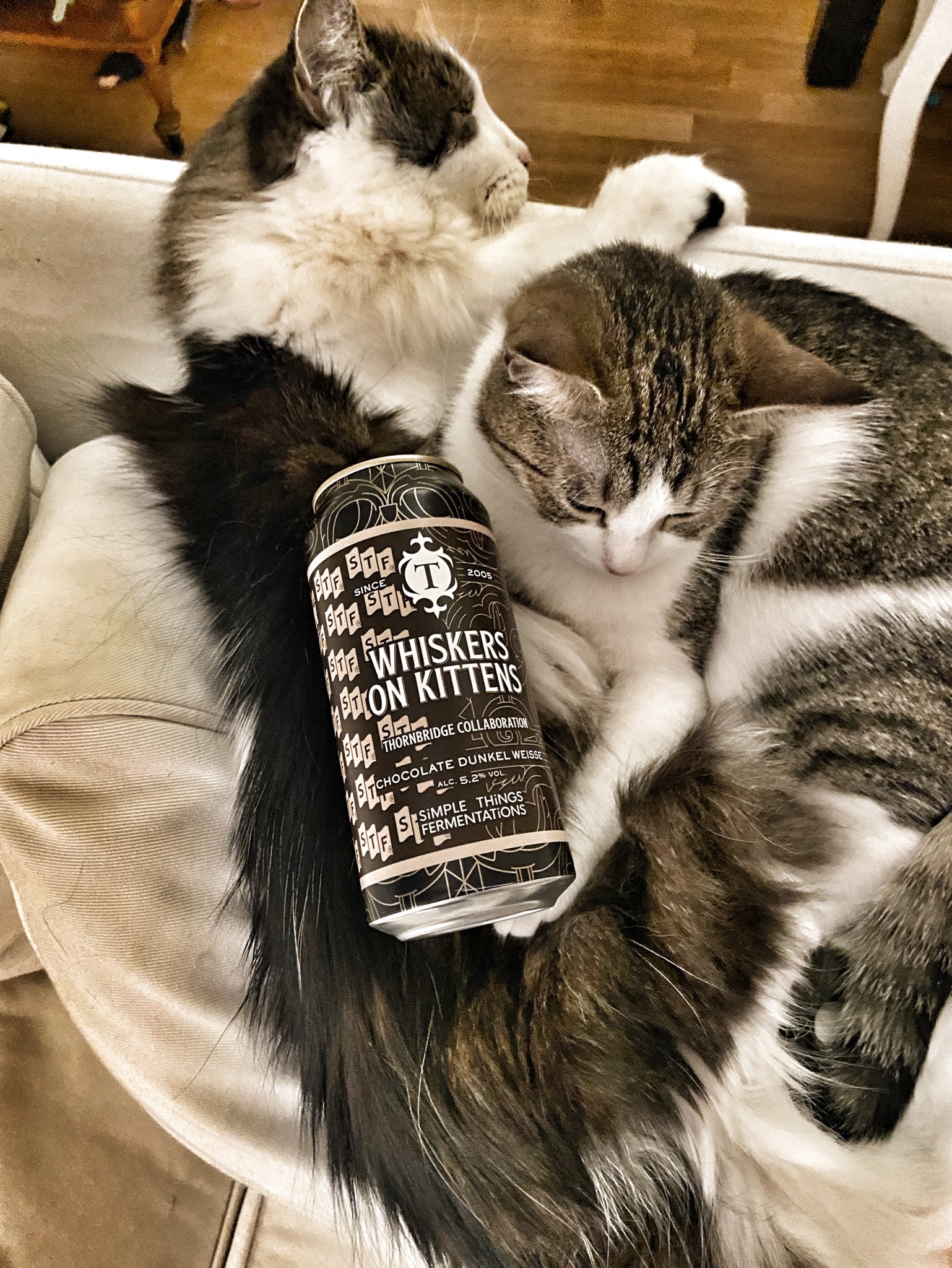 Whiskers On Kittens, England