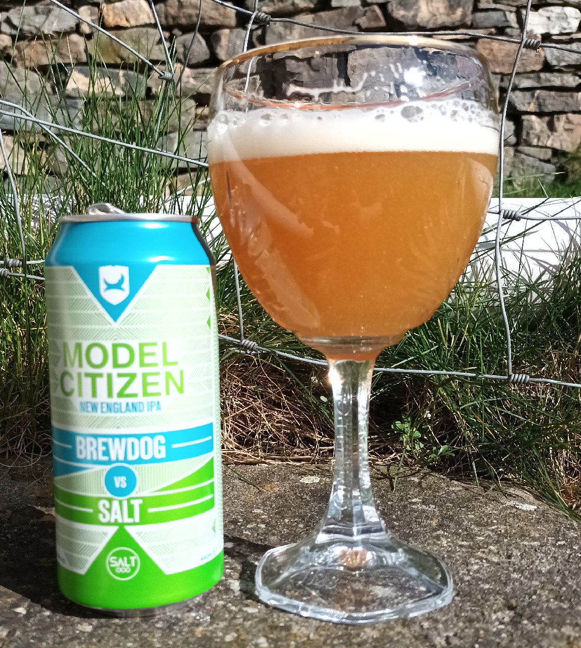 BrewDog Vs. Salt Model Citizen, Scotland