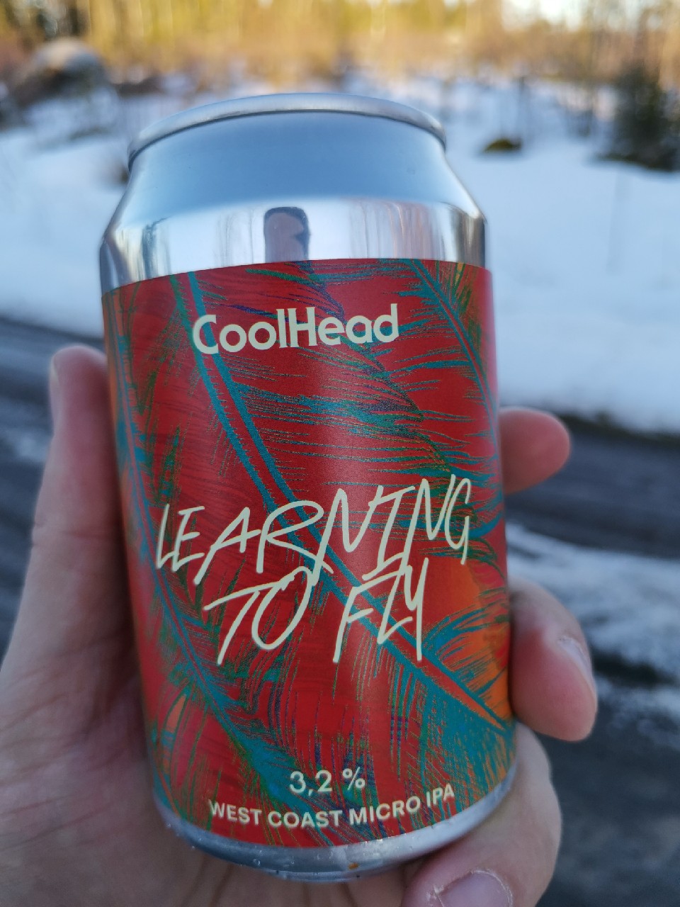 Learning to Fly, Finland