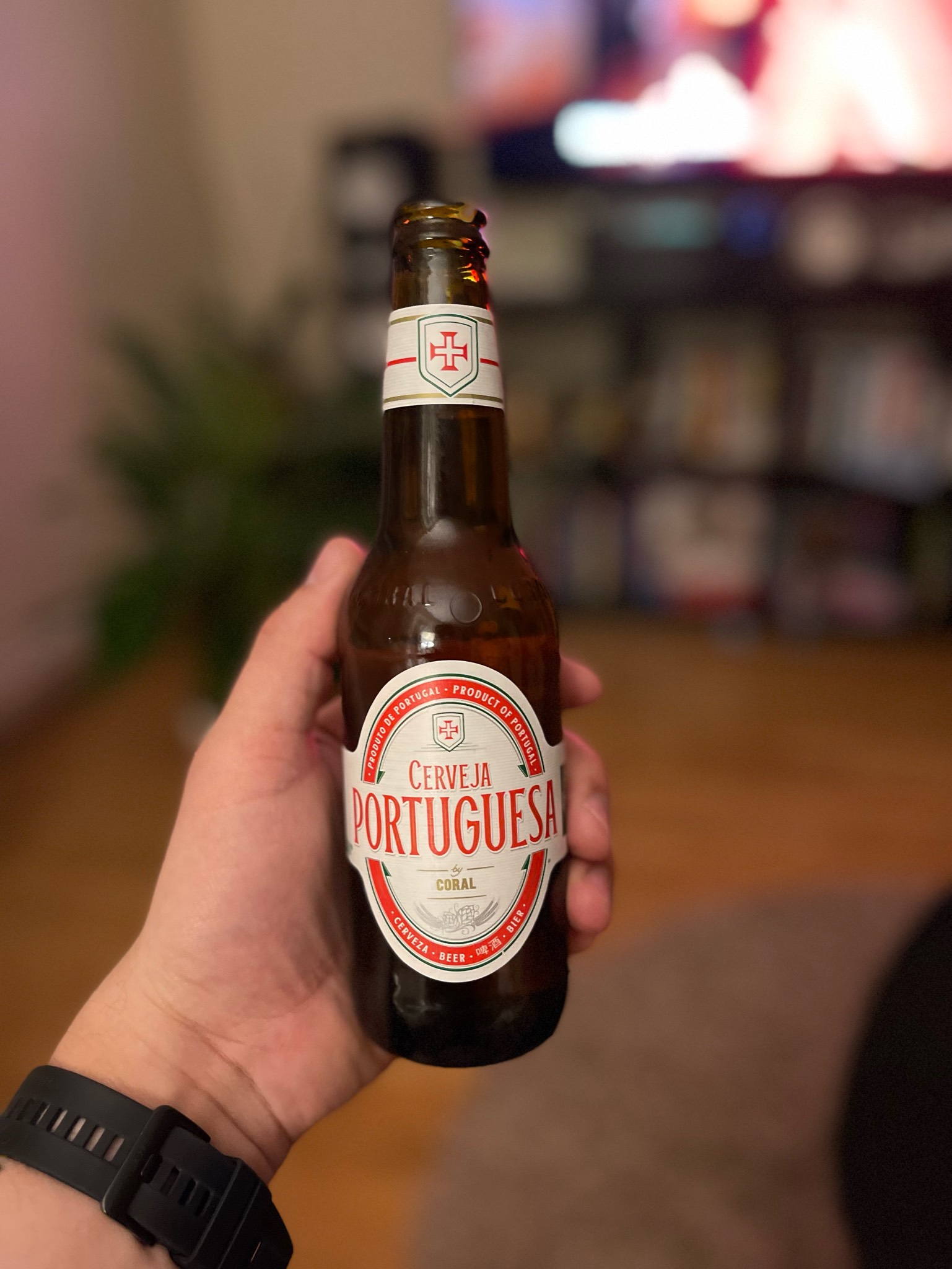 Cerveja Portuguesa, Portugal