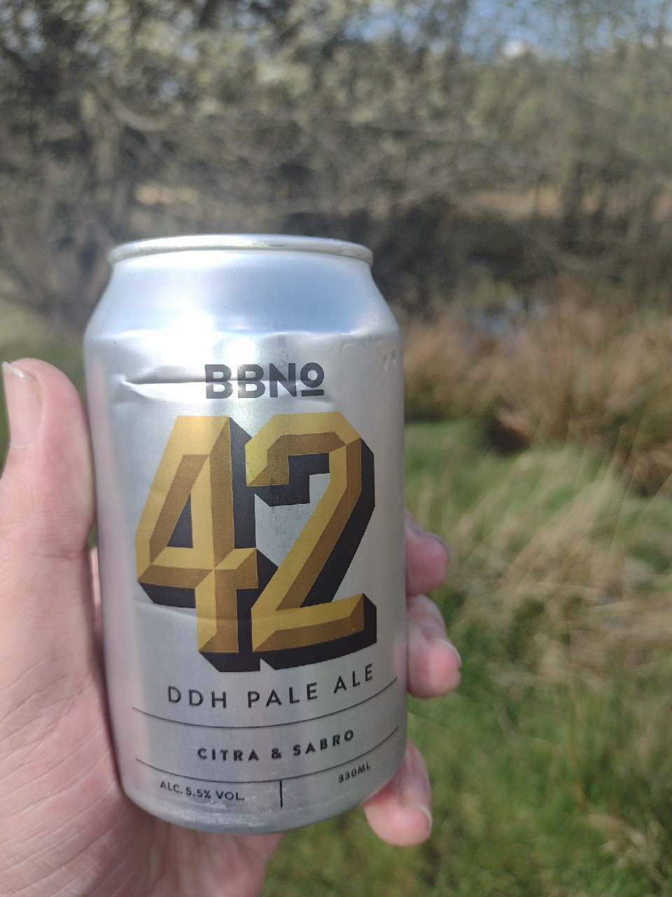 42 DDH Pale Ale - Number 6, England