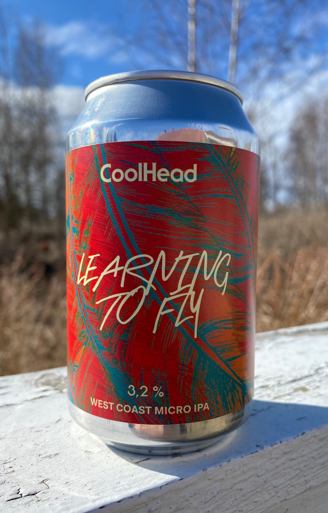 Learning to Fly, Finland