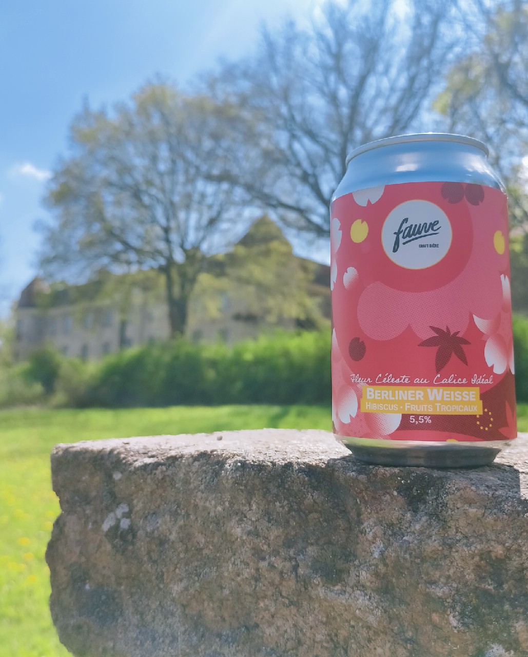 Fleur Céleste Au Calice Idéal, France