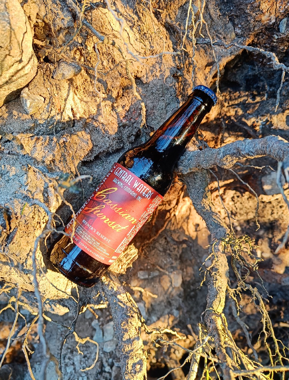 Brewer's Reserve Cassian Sunset (2021), United States