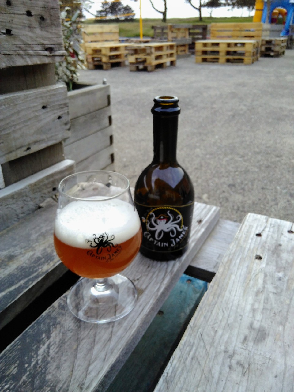 Captain James Blonde, France