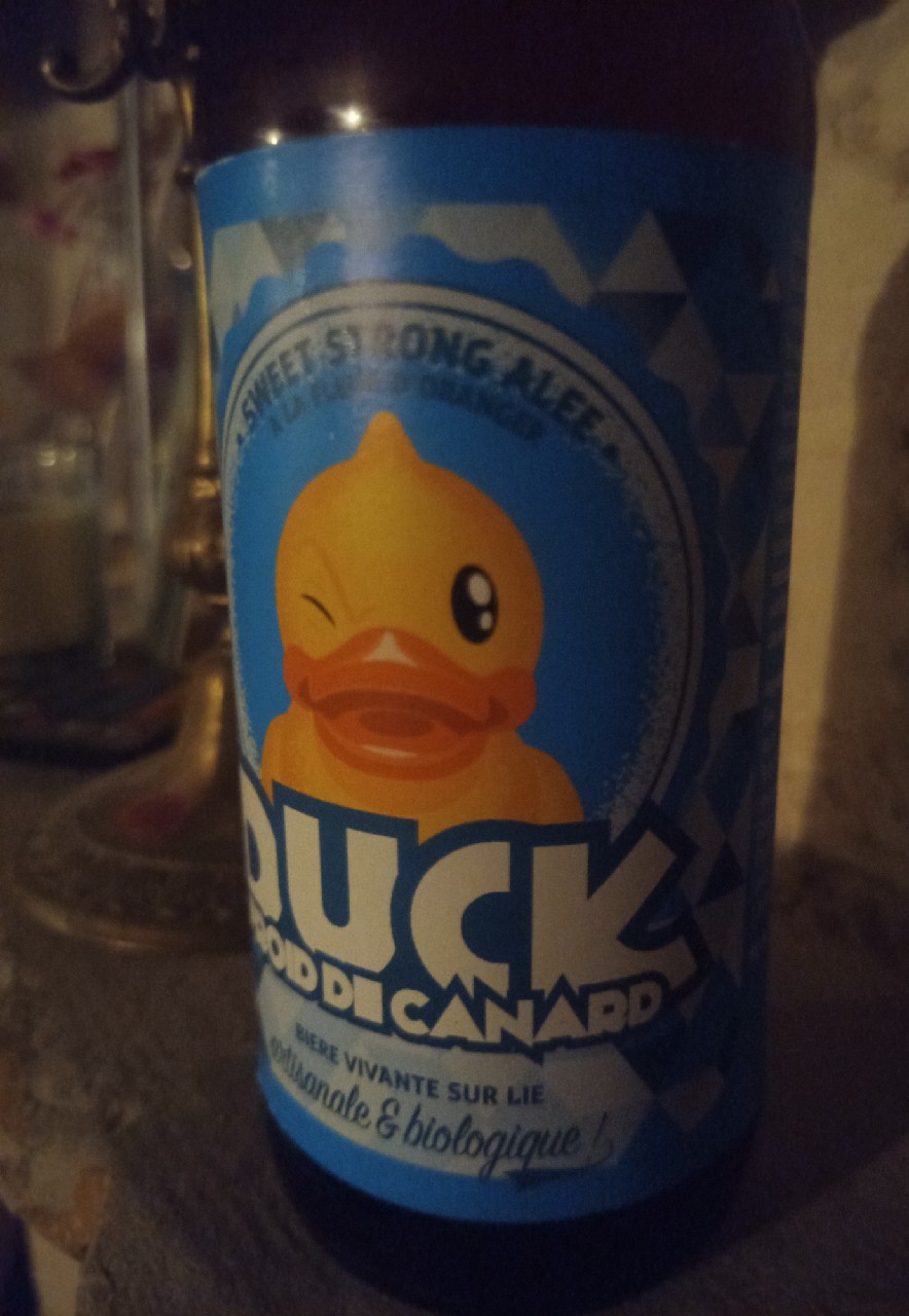 Duck Froid De Canard, France