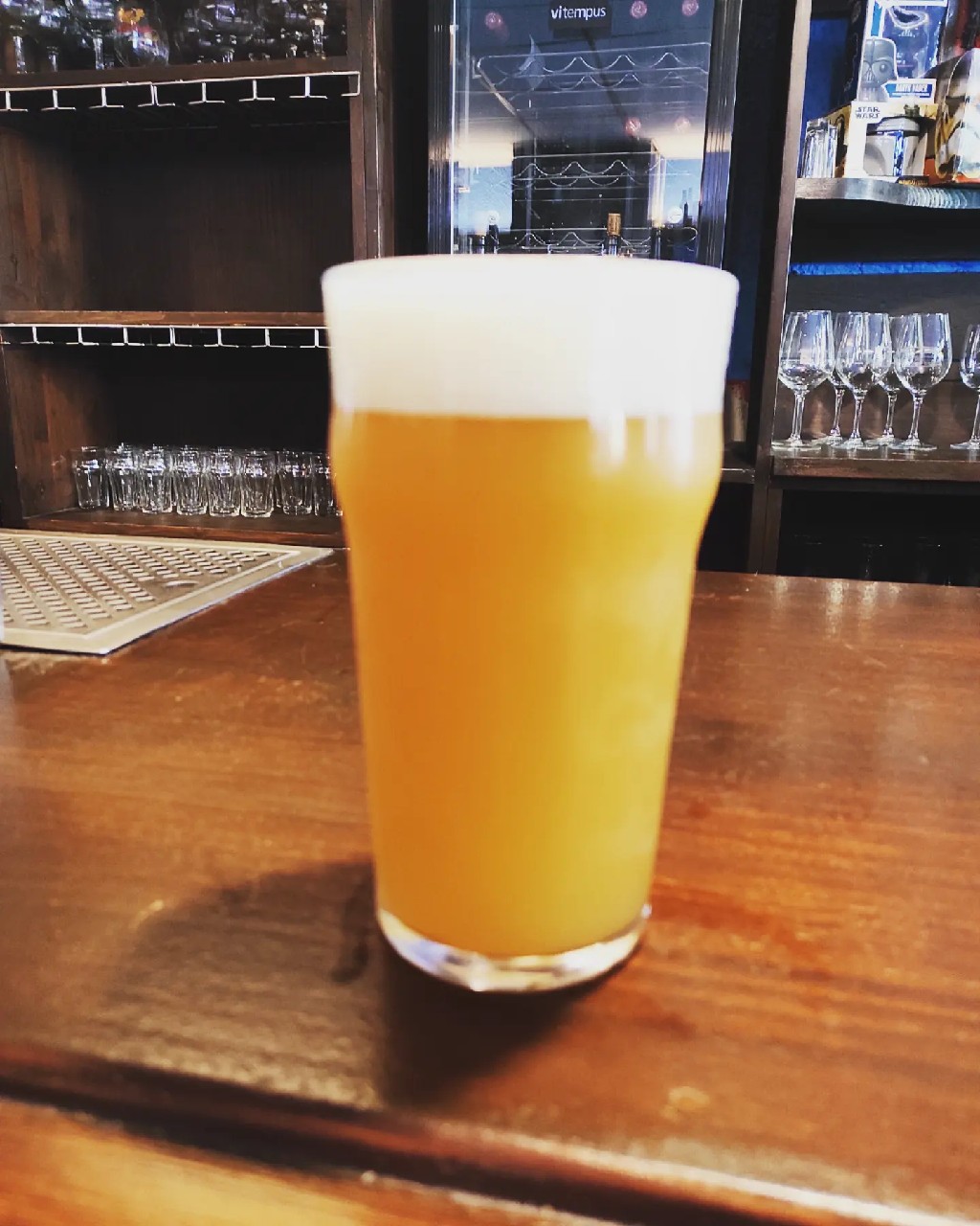 Double Orange Starfish, United States