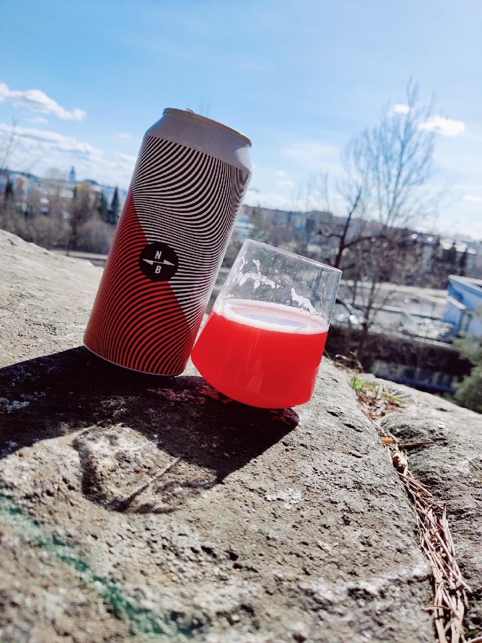 Triple Fruited Gose: Strawberry + Blackberry + Blackcurrant, England