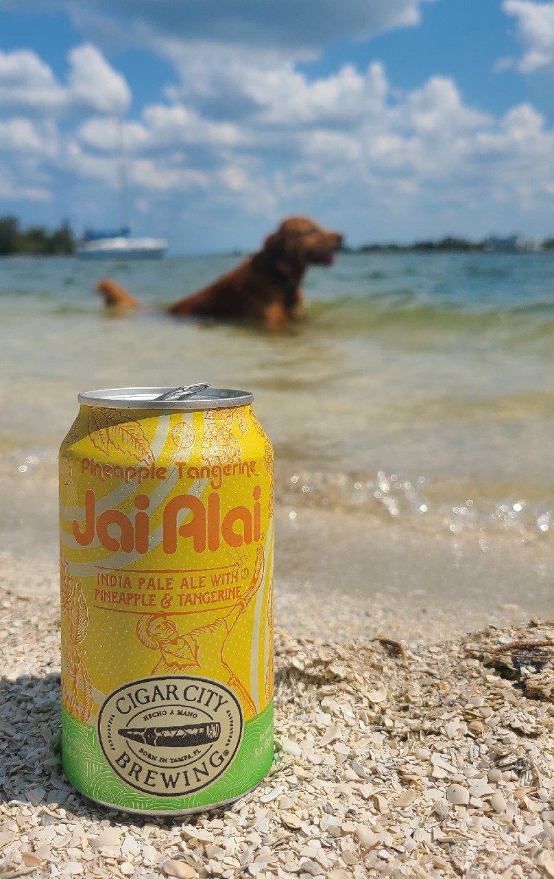 Pineapple Tangerine Jai Alai, United States