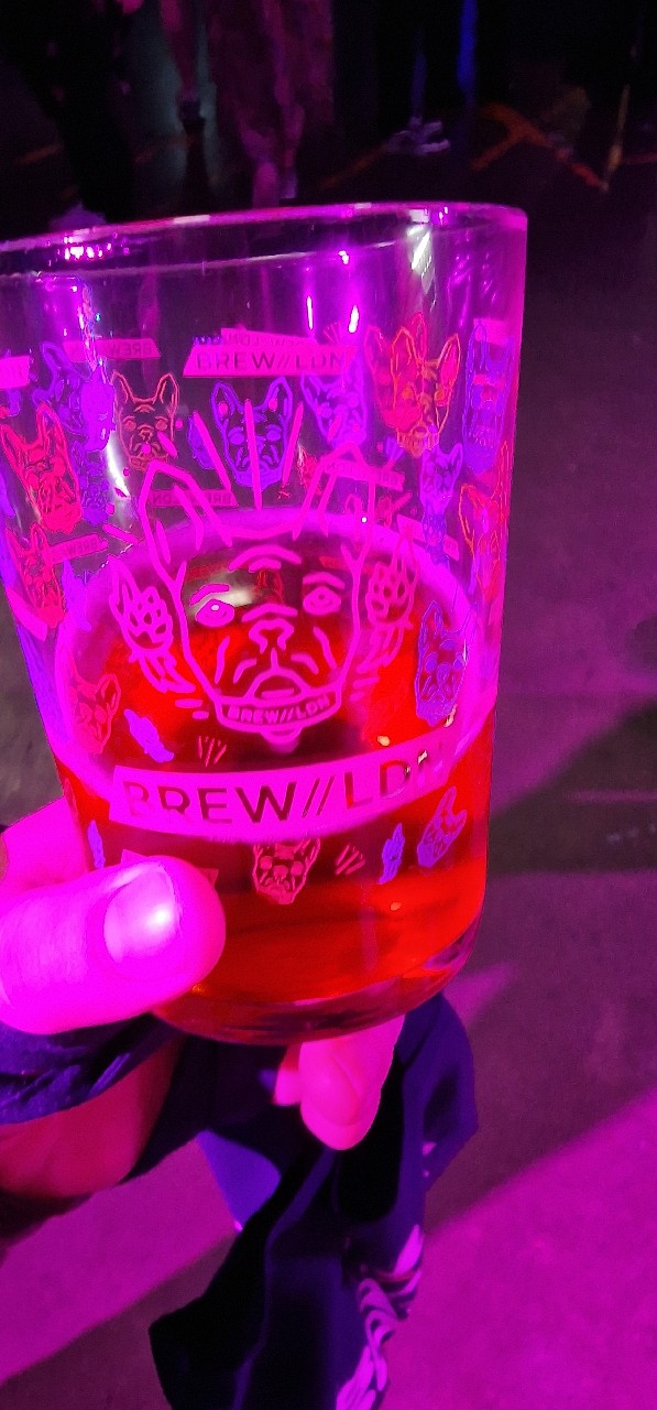 Big Point 2022 Red Fruit Wild Ale, England