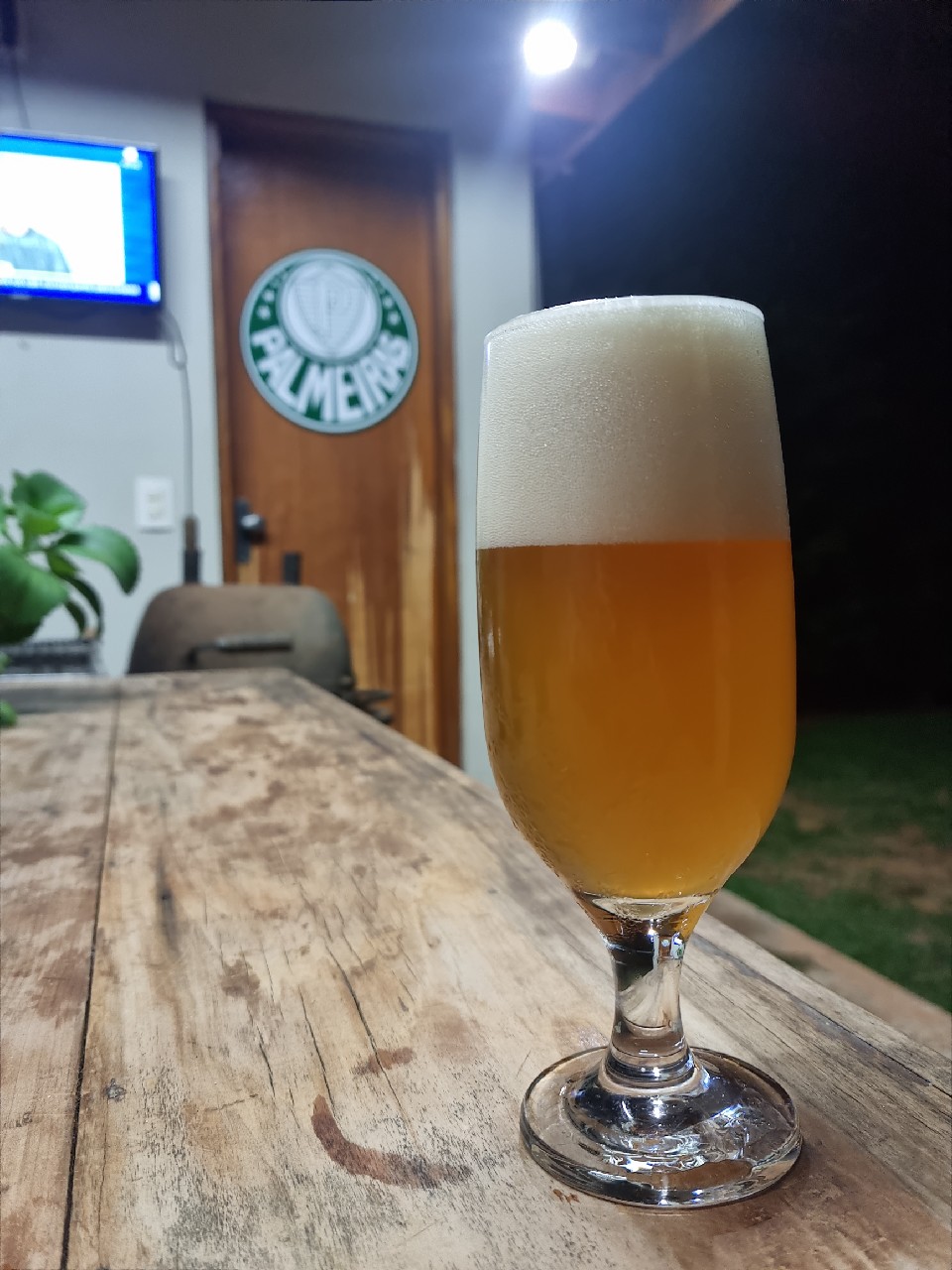 trevisa vienna bitter, Brazil