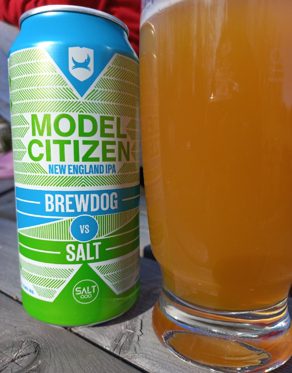 BrewDog Vs. Salt Model Citizen, Scotland