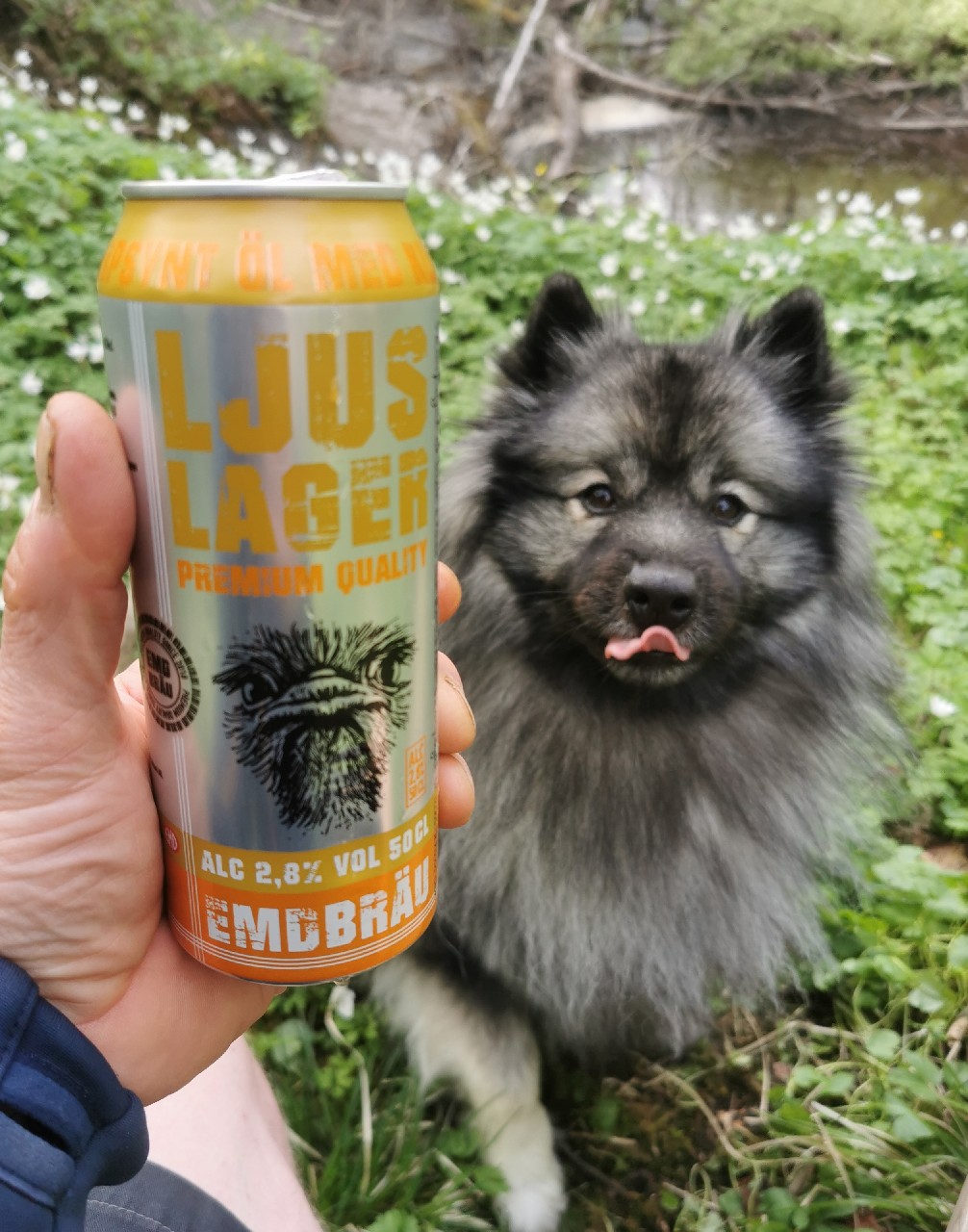 Emdbräu 2,8%, Switzerland