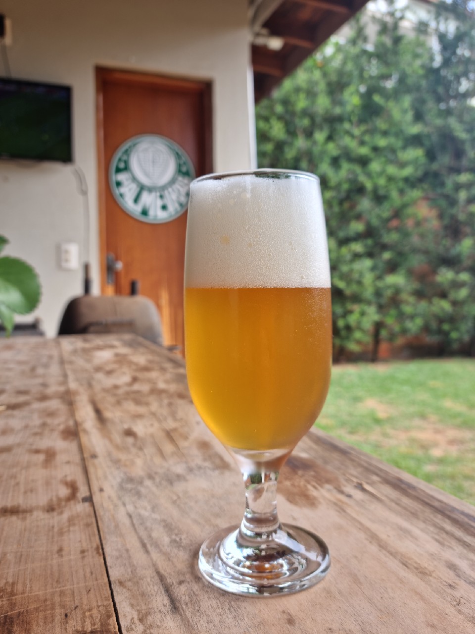 trevisa vienna bitter, Brazil