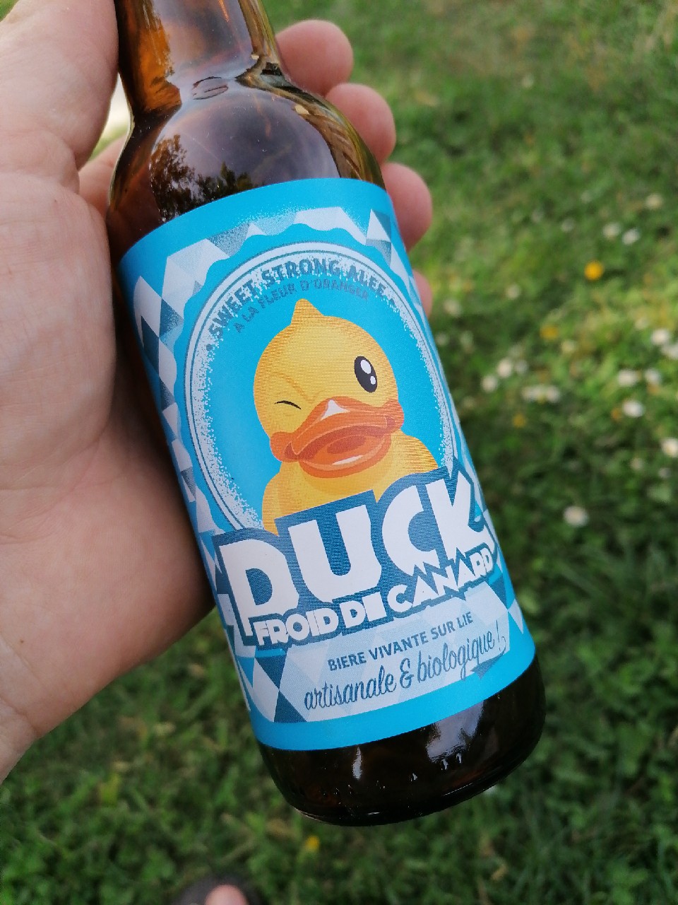 Duck Froid De Canard, France