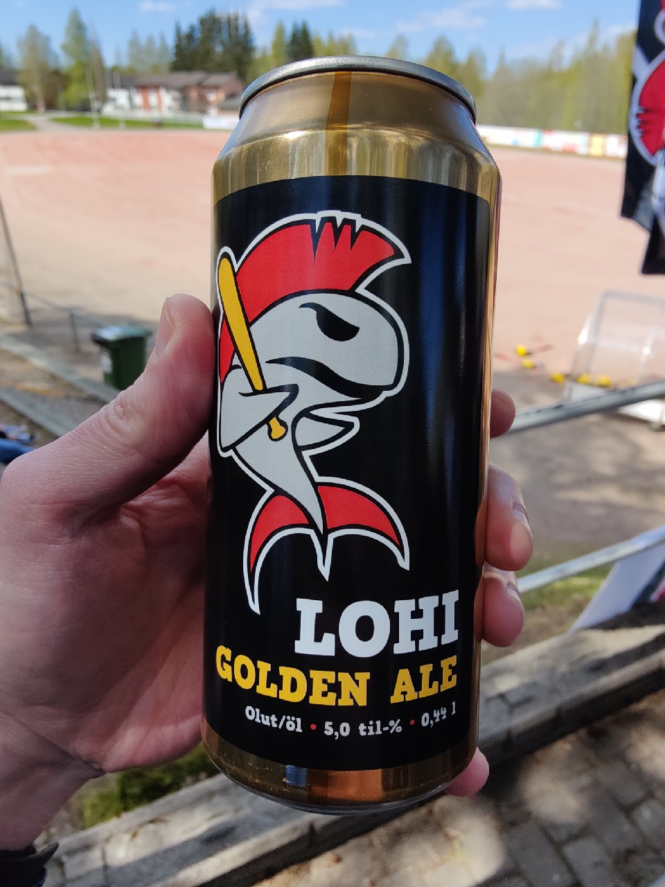 Hanaa Roosteeni, Finland