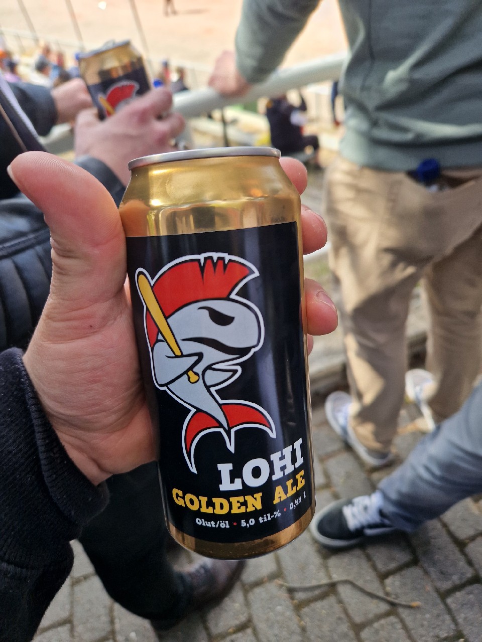 Hanaa Roosteeni, Finland