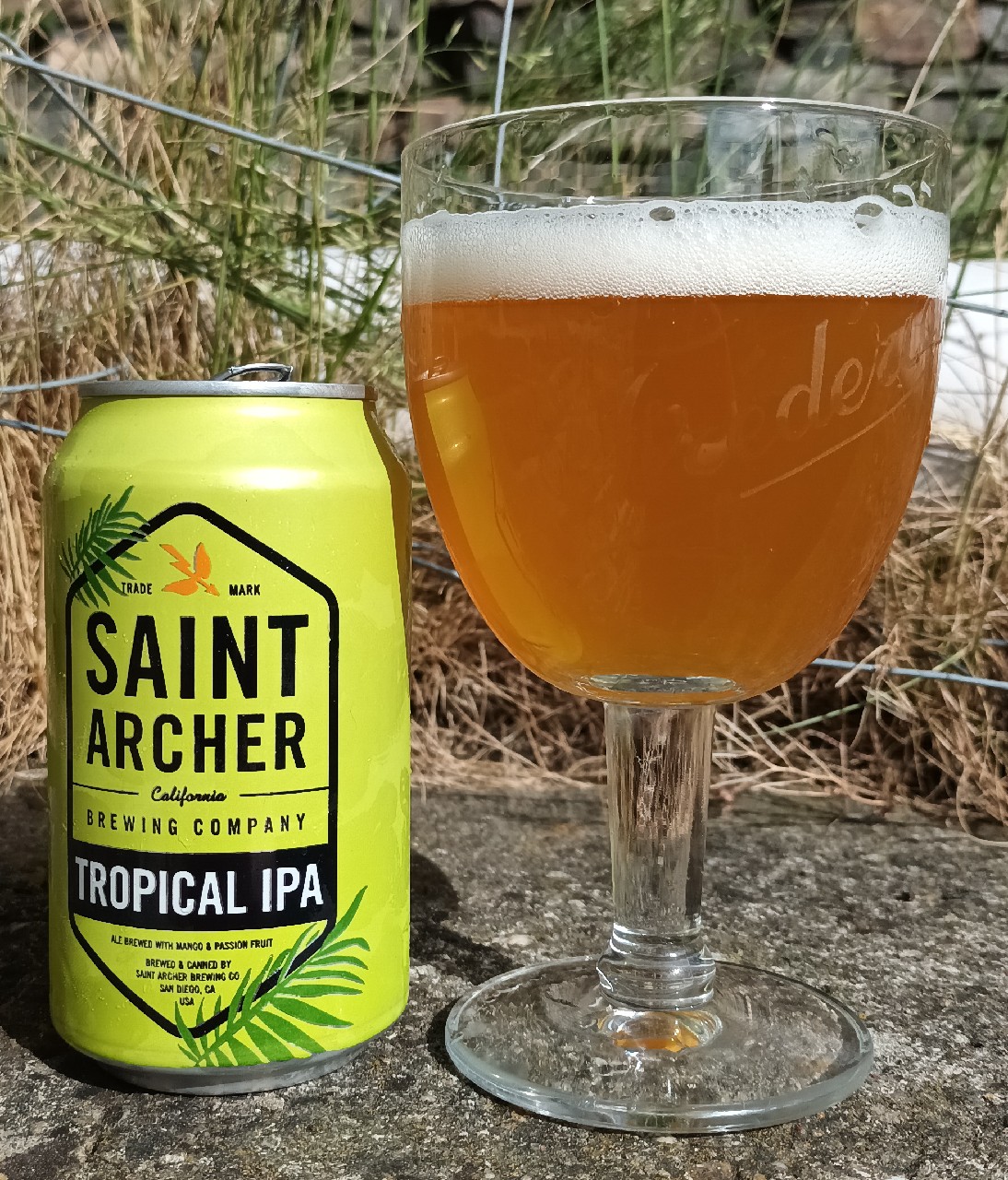 Tropical IPA, United States