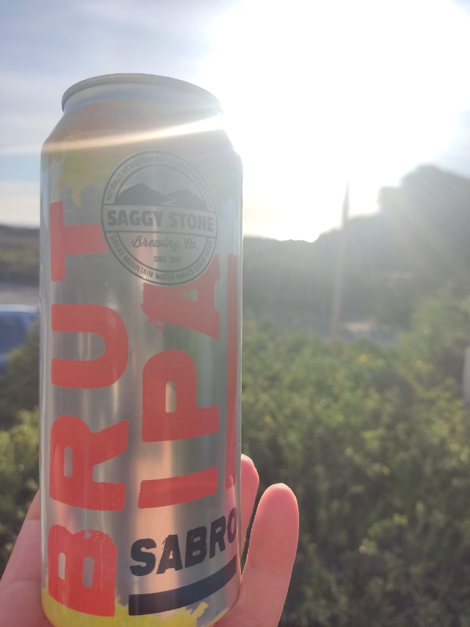 Brut IPA Sabro, South Africa