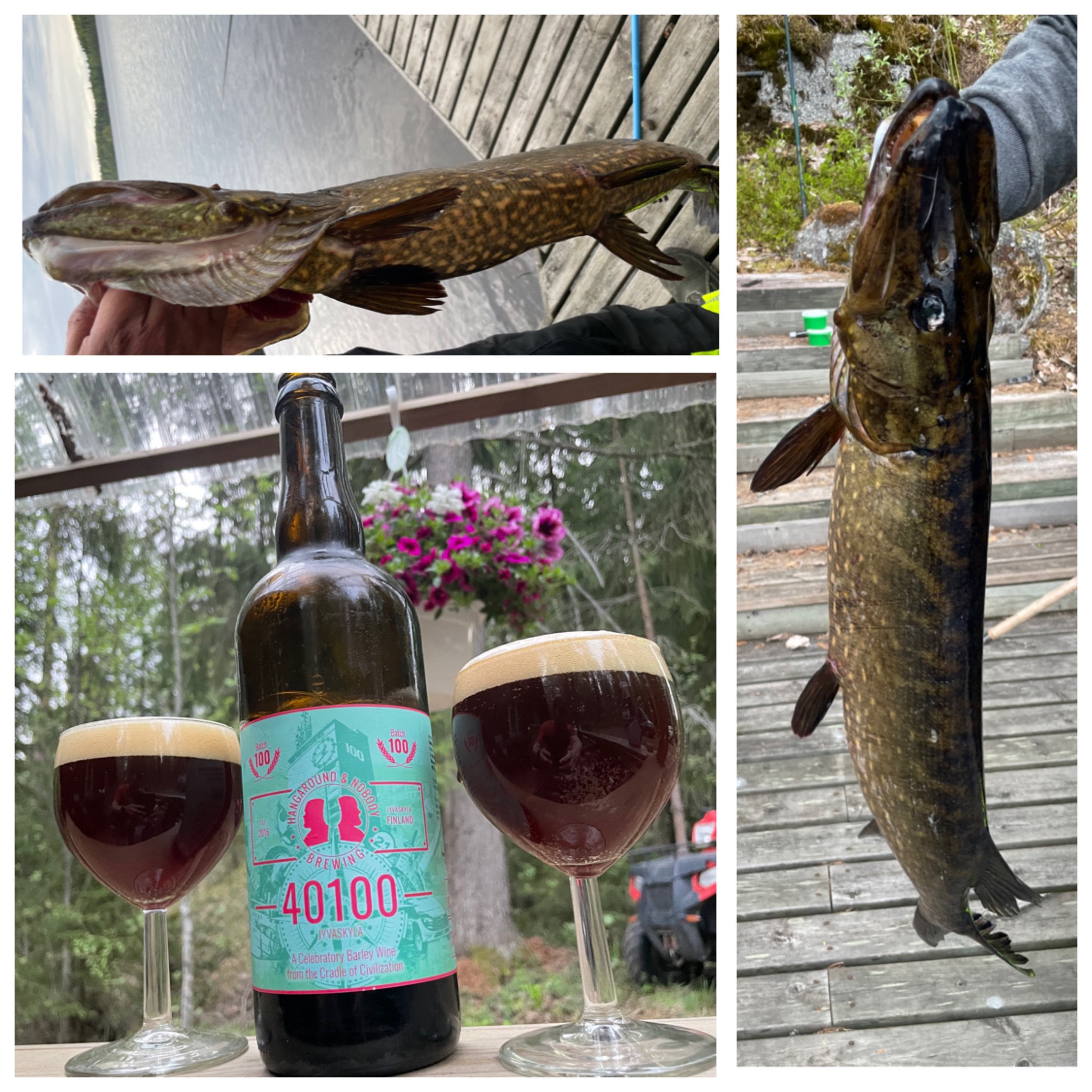 40100 Jyväskylä, Finland