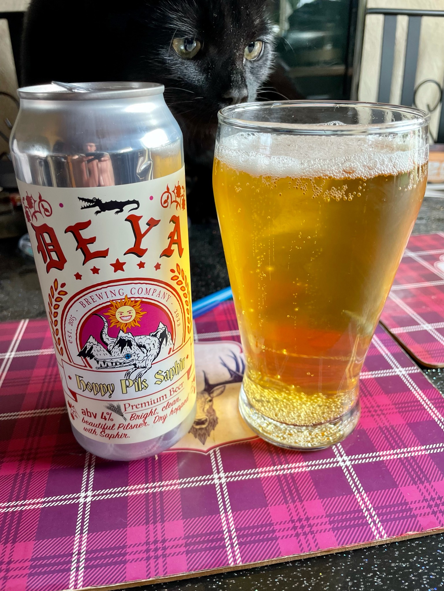 Hoppy Pils Saphir, England