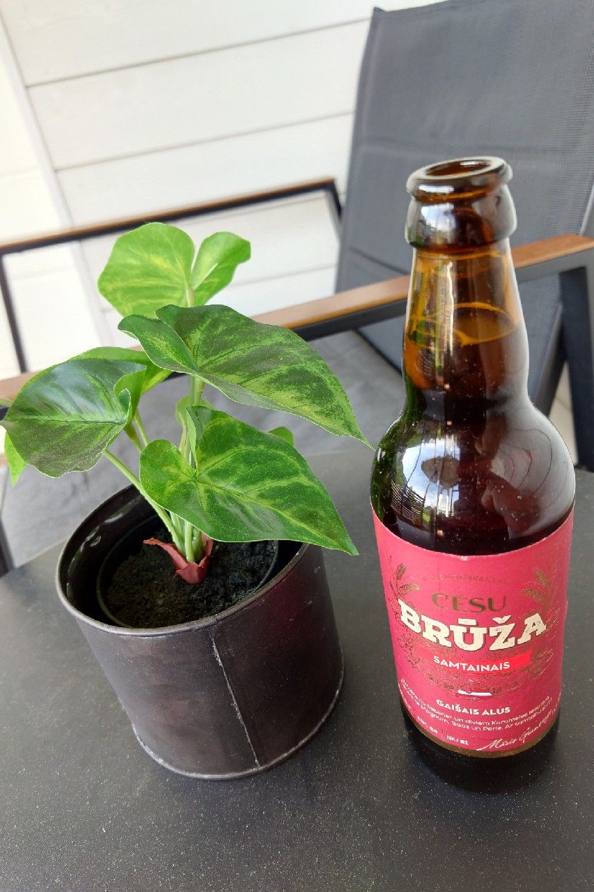 Brūža Samtainais, Latvia