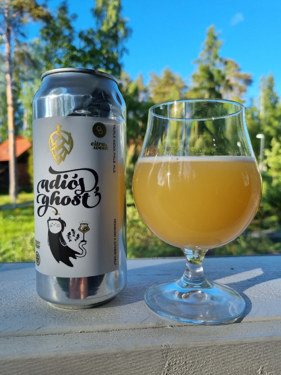 Adiós Ghost, United States